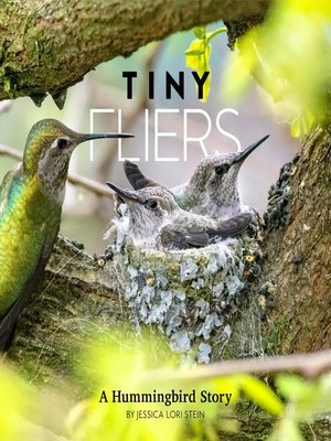 cover image of Tiny Fliers